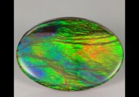 Oval Cabochon Ammolite Fossil Gemstone 10.85cts