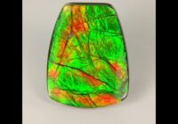Shield Cabochon Cut Ammolite 30.05cts