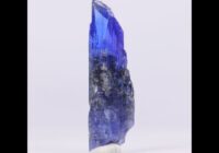 23.37ct Natural Unheated Tanzanite Crystal Specimen