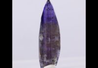 24.26ct Natural Unheated Tanzanite Crystal Specimen