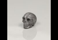 6.85g Gibion Meteorite Etched Skull Carving