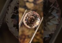 Extremely Detailed Gems Cut by Steve Moriarty