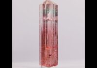 21.70ct BiColor Peachy Pink Tourmaline Crystal from Congo
