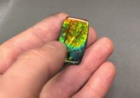 33.05ct Ammolite from Canada