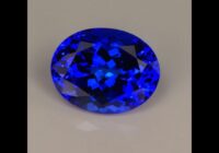 Oval Violet Blue Tanzanite Gemstone 6.94cts