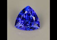 Violet Blue Trilliant Tanzanite Gemstone 2.67cts