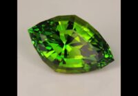 20.41ct Stepped Cut Kite Tourmaline from Nigeria