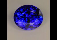 Exceptional Blue Tanzanite 9.64 Carat