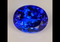 Tanzanite Oval 10.04 Carats Exceptional Bue