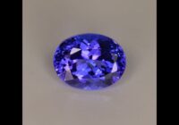 Tanzanite Oval 2.45 Carat