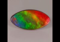 Ammolite AAA Quality  29.35 Carats