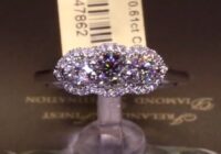 #47862 | T0.61ct | Three Stone Round Brilliant with Round Brilliant Halo | Set in 18ct White Gold