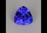 Tanzanite Trilliant 4.07 Carats