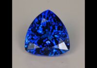 Tanzanite Trilliant 3.98 Carats MostlyBlue