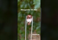 5 Amazing New Gems you don’t want to miss! Shop MoreGems.com #gemstones #gemstonejewelry #jewelry