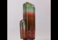 Tourmaline Crystal 23.34 Carats