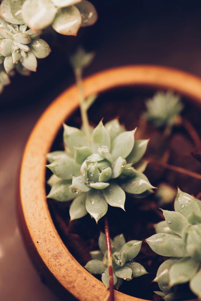 Diamond Market to Reach USD 127.84 Billion by 2030